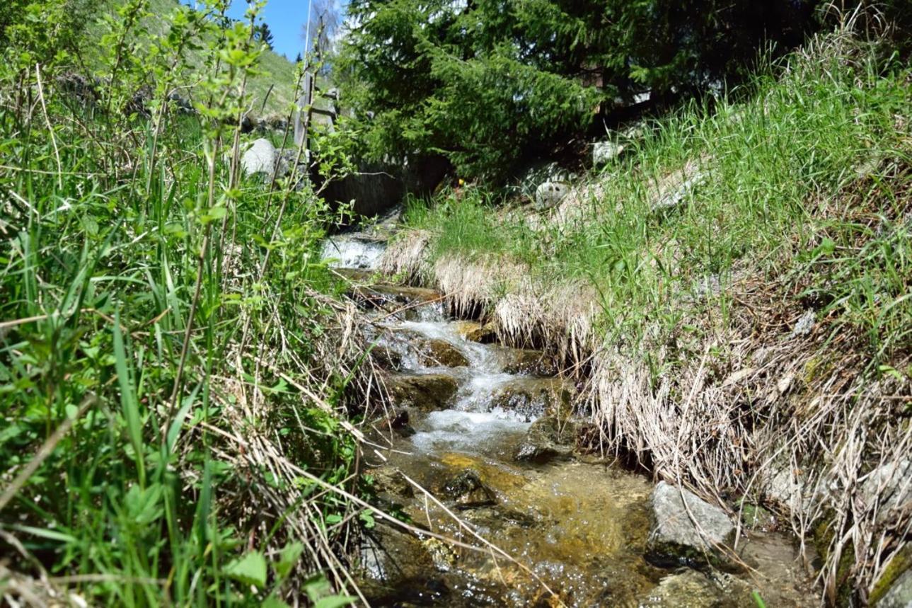 Вілла Traterhof-Spinges Rio di Pusteria Екстер'єр фото